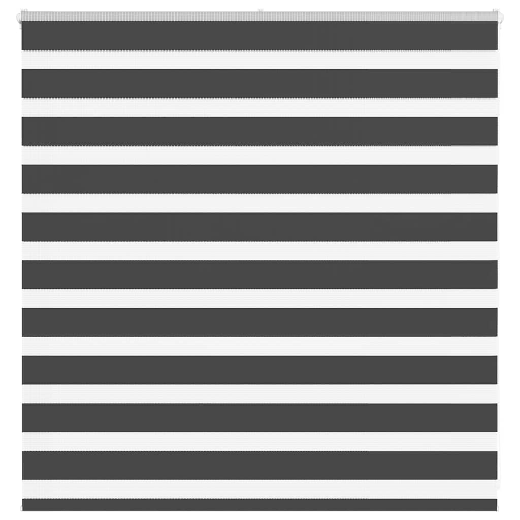 vidaXL Doppelrollo Schwarz 150x100 cm Stoffbreite 145,9 cm Polyester