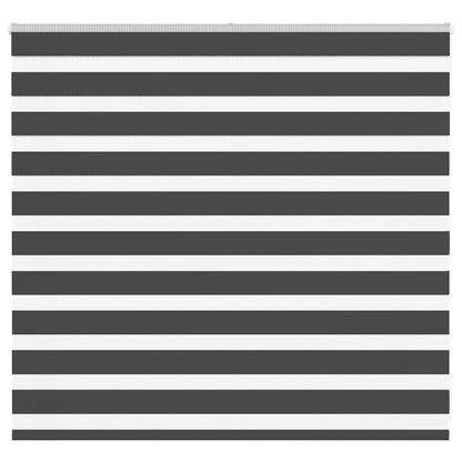 Doppelrollo Schwarz 165x100 cm Stoffbreite 160,9 cm Polyester