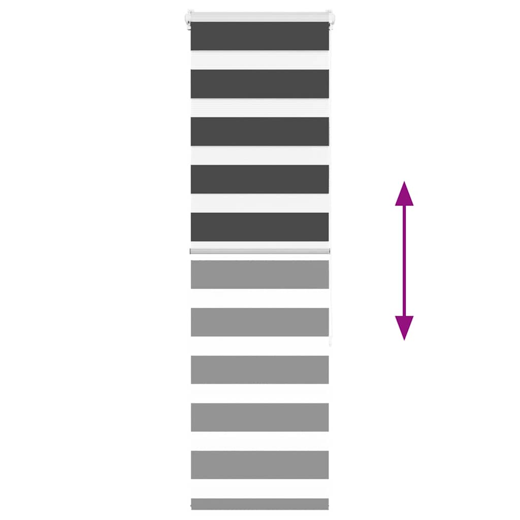 Doppelrollo Schwarz 40x150 cm Stoffbreite 35,9 cm Polyester