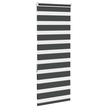 vidaXL Doppelrollo Schwarz 55x150 cm Stoffbreite 50,9 cm Polyester