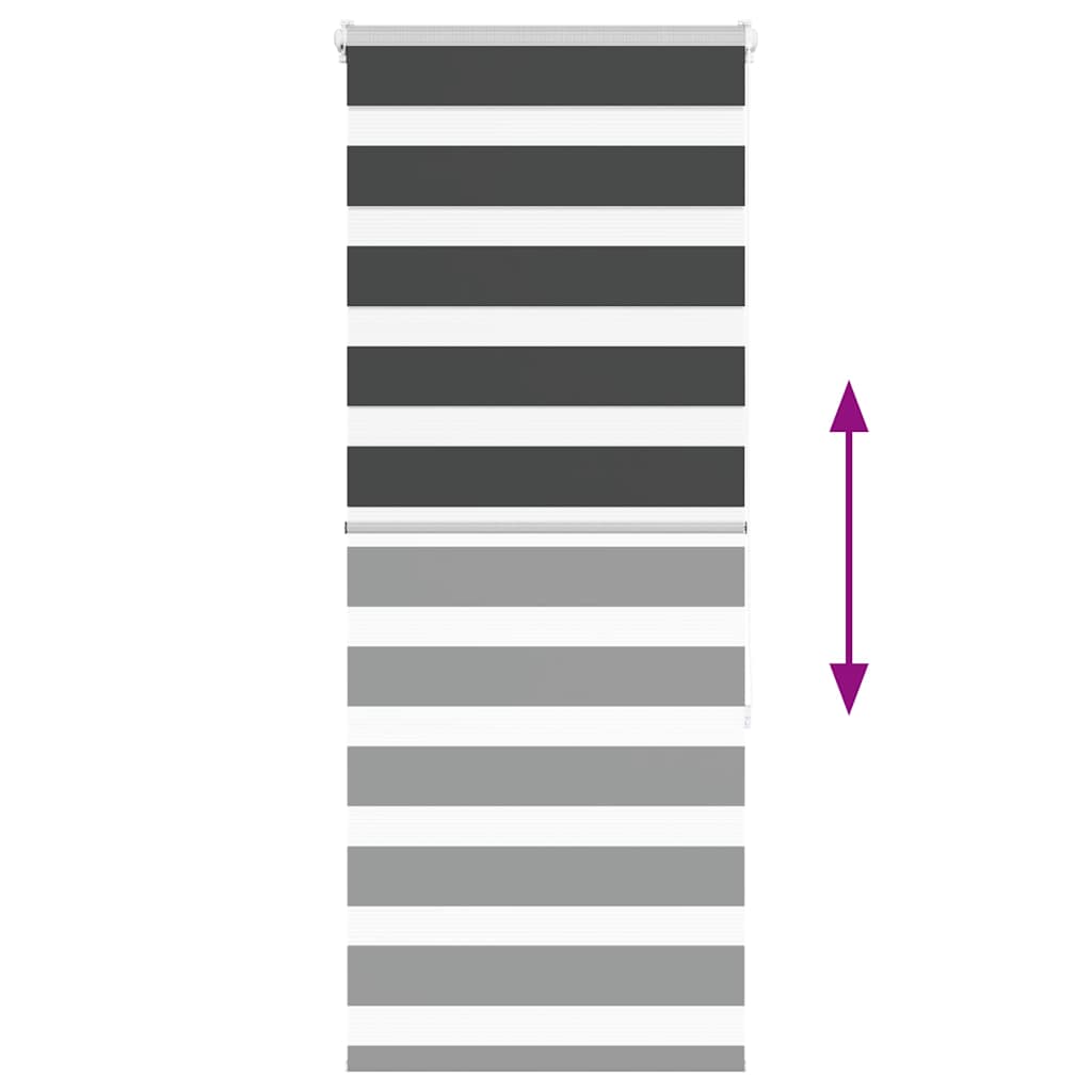 Doppelrollo Schwarz 55x150 cm Stoffbreite 50,9 cm Polyester