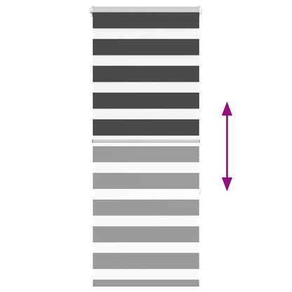 Doppelrollo Schwarz 55x150 cm Stoffbreite 50,9 cm Polyester