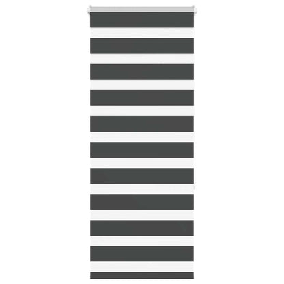 Doppelrollo Schwarz 60x150 cm Stoffbreite 55,9 cm Polyester