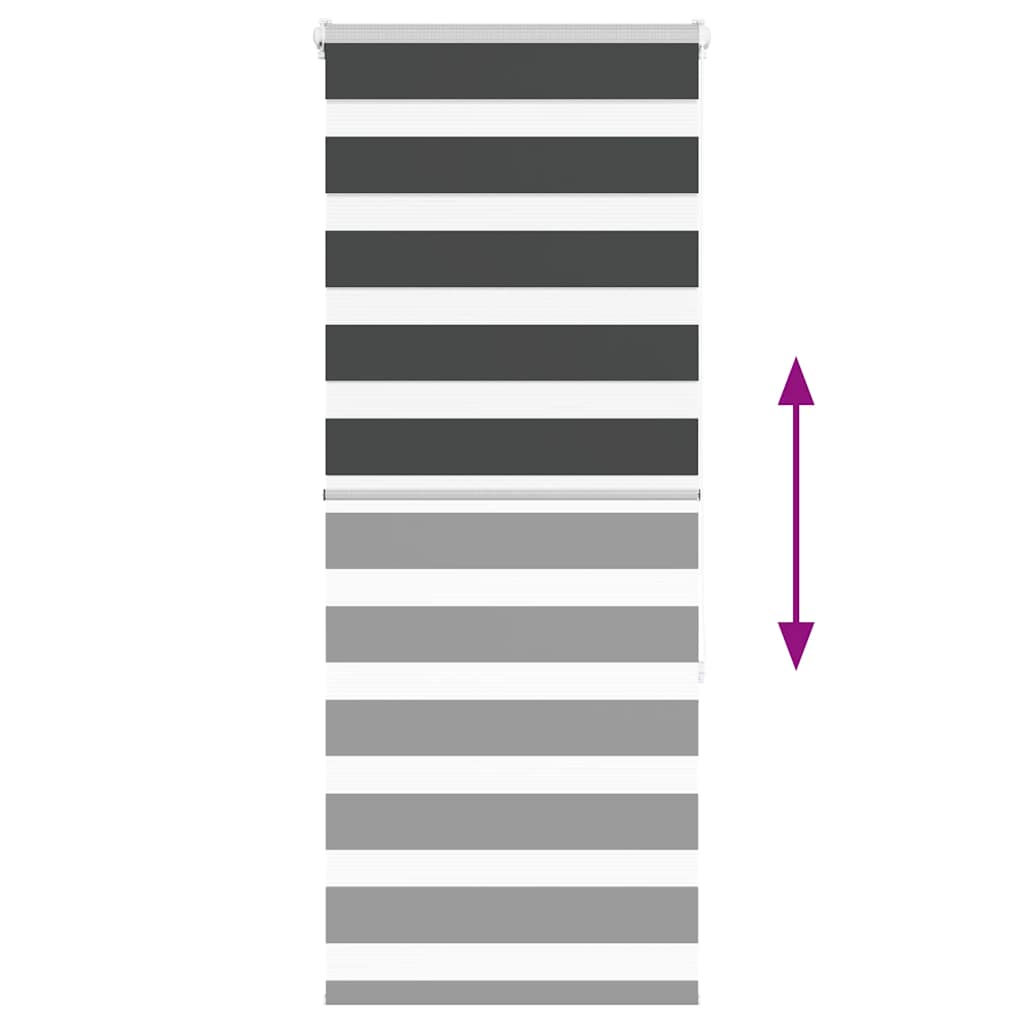 Doppelrollo Schwarz 60x150 cm Stoffbreite 55,9 cm Polyester