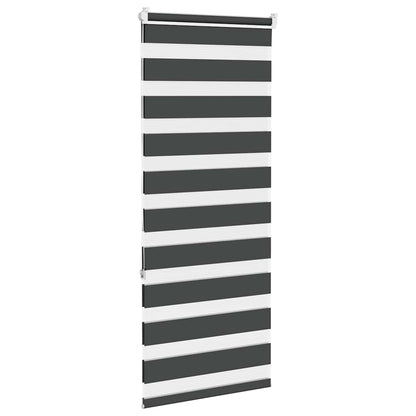 vidaXL Doppelrollo Schwarz 65x150 cm Stoffbreite 60,9 cm Polyester