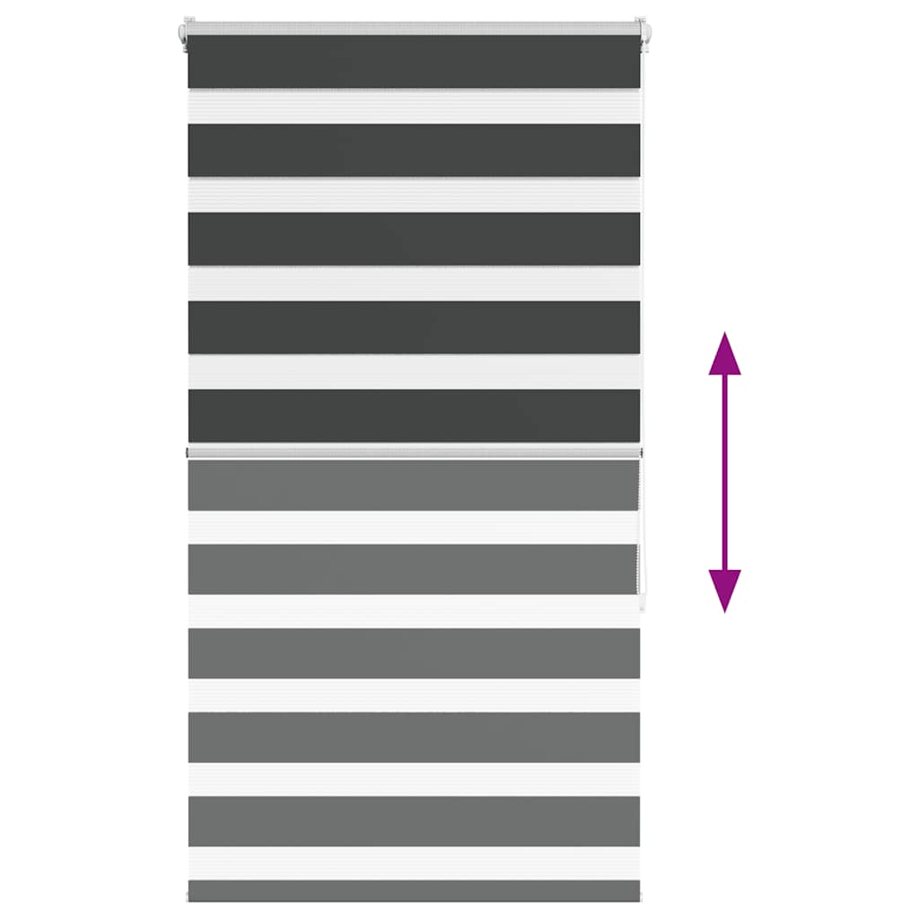 Doppelrollo Schwarz 75x150 cm Stoffbreite 70,9 cm Polyester