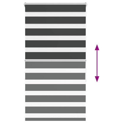 Doppelrollo Schwarz 75x150 cm Stoffbreite 70,9 cm Polyester