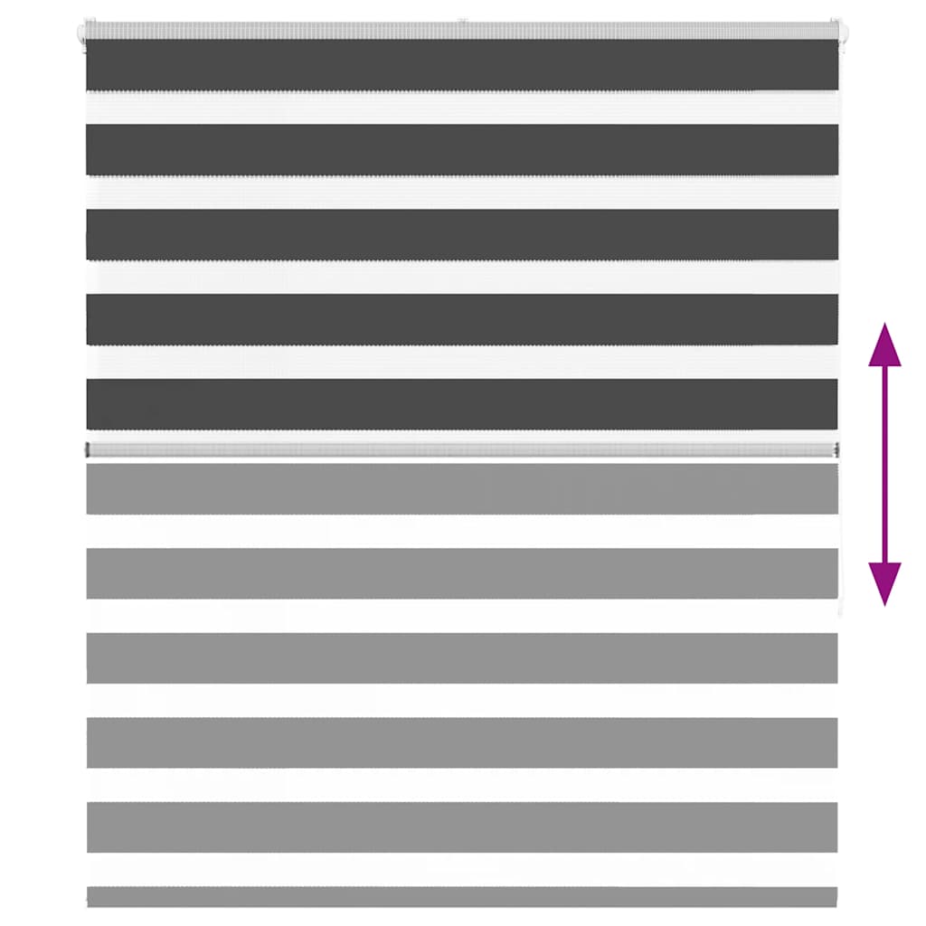 Doppelrollo Schwarz 120x150 cm Stoffbreite 115,9 cm Polyester