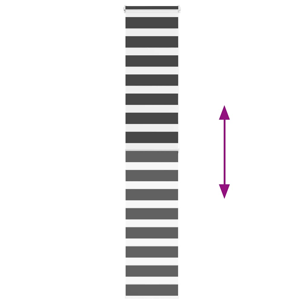 Doppelrollo Schwarz 40x200 cm Stoffbreite 35,9 cm Polyester