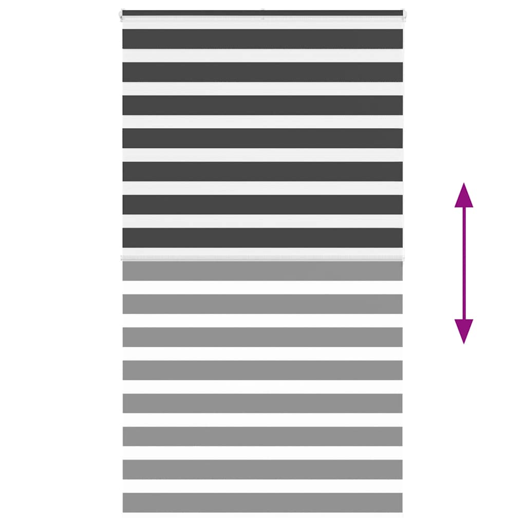 vidaXL Doppelrollo Schwarz 125x200 cm Stoffbreite 120,9 cm Polyester
