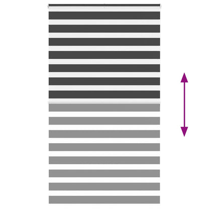 vidaXL Doppelrollo Schwarz 125x200 cm Stoffbreite 120,9 cm Polyester