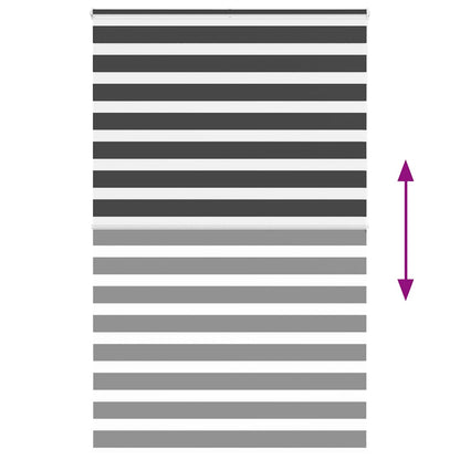 Doppelrollo Schwarz 145x200 cm Stoffbreite 140,9 cm Polyester