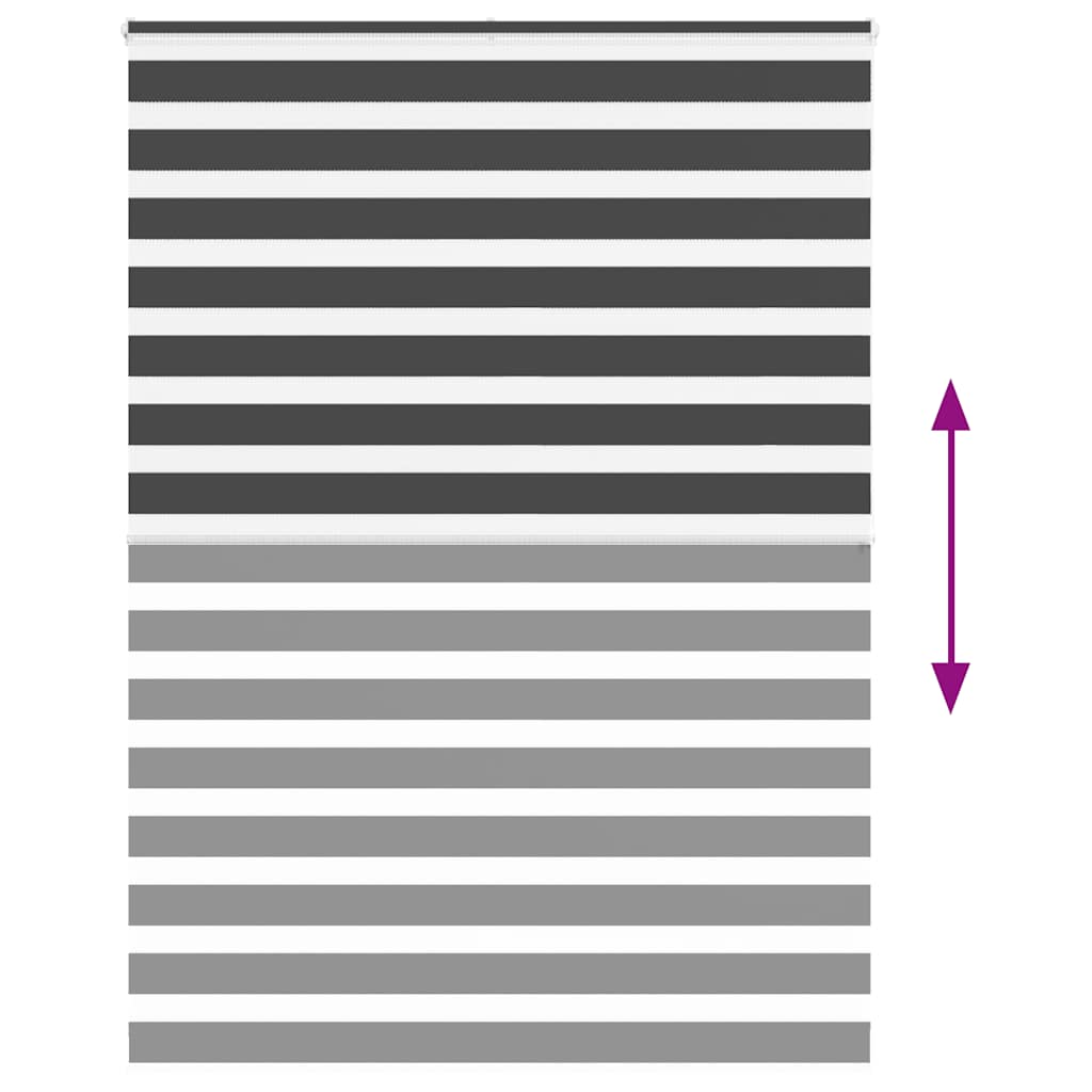 Doppelrollo Schwarz 165x200 cm Stoffbreite 160,9 cm Polyester