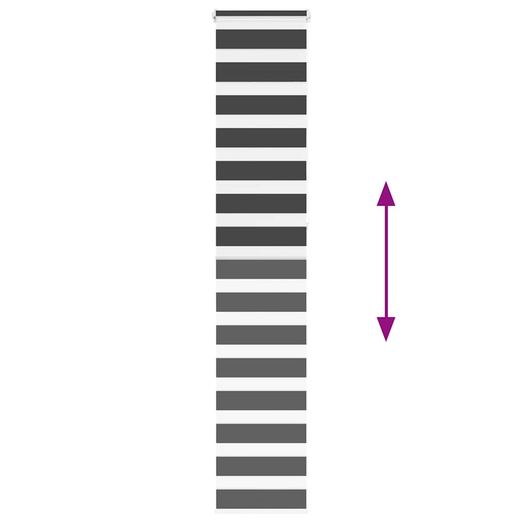 Doppelrollo Schwarz 45x230 cm Stoffbreite 40,9 cm Polyester