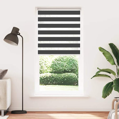 Doppelrollo Schwarz 110x230 cm Stoffbreite 105,9 cm Polyester