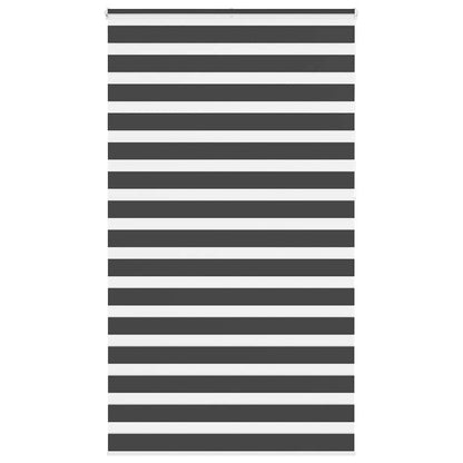 Doppelrollo Schwarz 120x230 cm Stoffbreite 115,9 cm Polyester