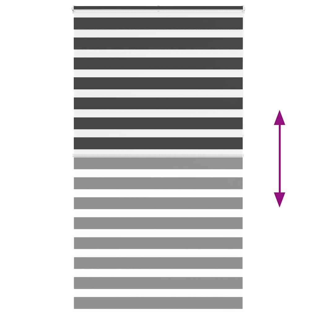 Doppelrollo Schwarz 120x230 cm Stoffbreite 115,9 cm Polyester