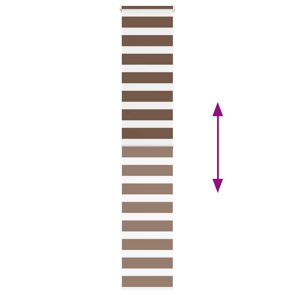 Doppelrollo Braun 40x200 cm Stoffbreite 35,9 cm Polyester