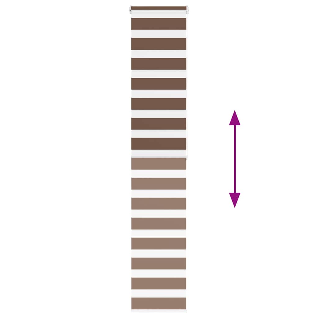 Doppelrollo Braun 50x200 cm Stoffbreite 45,9 cm Polyester