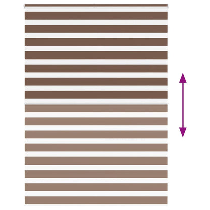 Doppelrollo Braun 160x200 cm Stoffbreite 155,9 cm Polyester