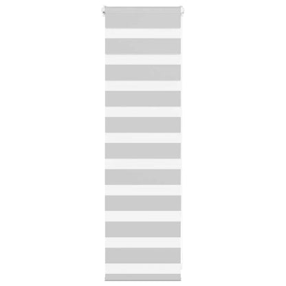 vidaXL Doppelrollo Hellgrau 40x100 cm Stoffbreite 35,9 cm Polyester