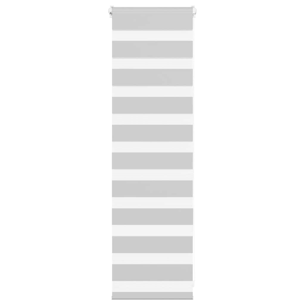 vidaXL Doppelrollo Hellgrau 45x100 cm Stoffbreite 40,9 cm Polyester