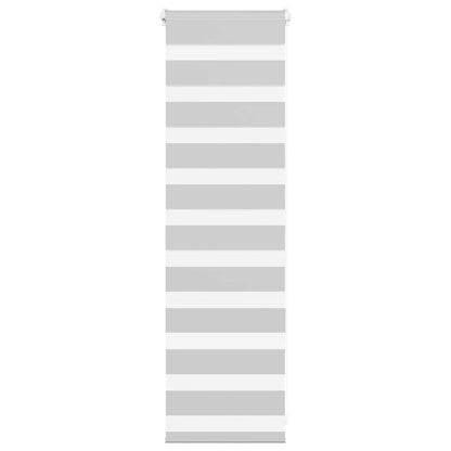 vidaXL Doppelrollo Hellgrau 50x100 cm Stoffbreite 45,9 cm Polyester