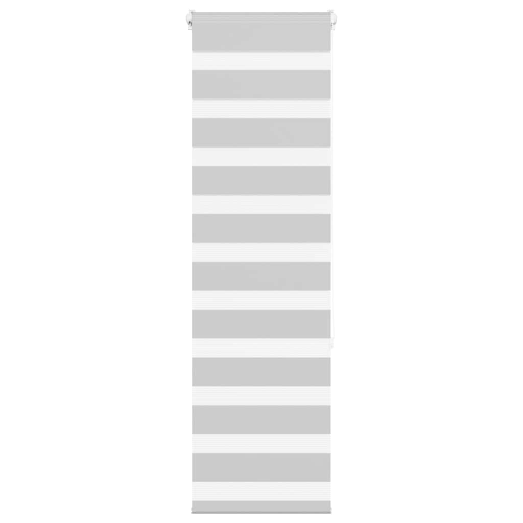 vidaXL Doppelrollo Hellgrau 50x150 cm Stoffbreite 45,9 cm Polyester