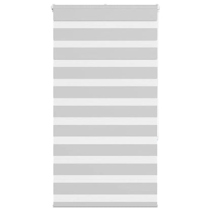 vidaXL Doppelrollo Hellgrau 70x150 cm Stoffbreite 65,9 cm Polyester