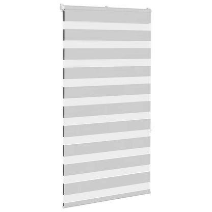 vidaXL Doppelrollo Hellgrau 70x150 cm Stoffbreite 65,9 cm Polyester