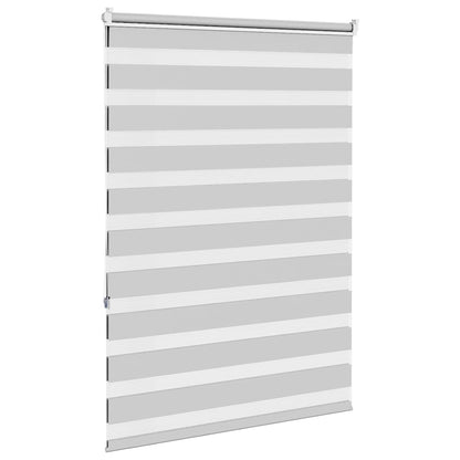 vidaXL Doppelrollo Hellgrau 100x150 cm Stoffbreite 95,9 cm Polyester
