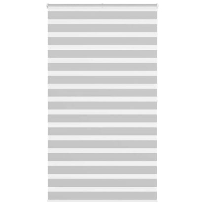 vidaXL Doppelrollo Hellgrau 125x200 cm Stoffbreite 120,9 cm Polyester