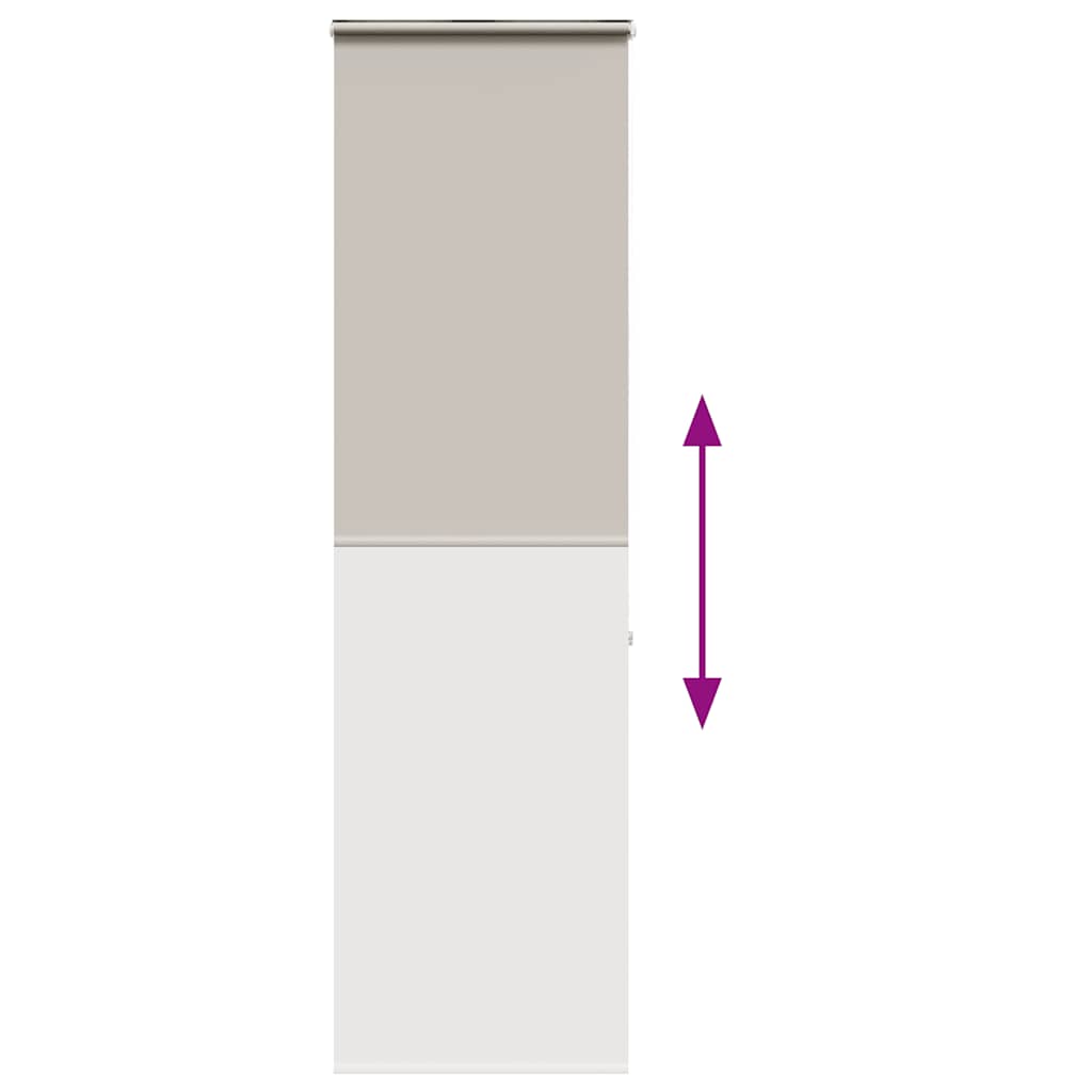 vidaXL Duschrollo mit Kassette 60x240 cm Stoffbreite 56 cm