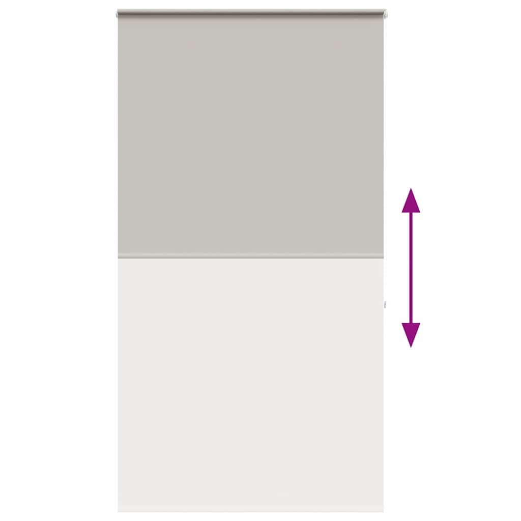 vidaXL Duschrollo mit Kassette 120x240 cm Stoffbreite 116 cm