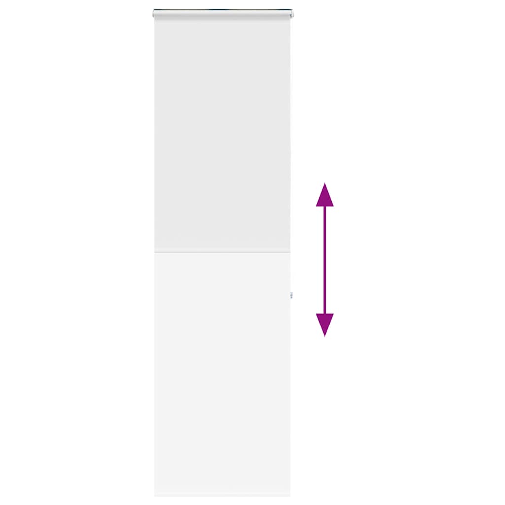 vidaXL Duschrollo mit Kassette 60x240 cm Stoffbreite 56 cm