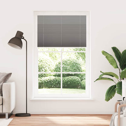 vidaXL Store plissé anthracite 120x200 cm Largeur du tissu 119,4 cm Polyester