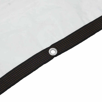 Transparente Plane mit Ösen 2x8 m Polyethylen