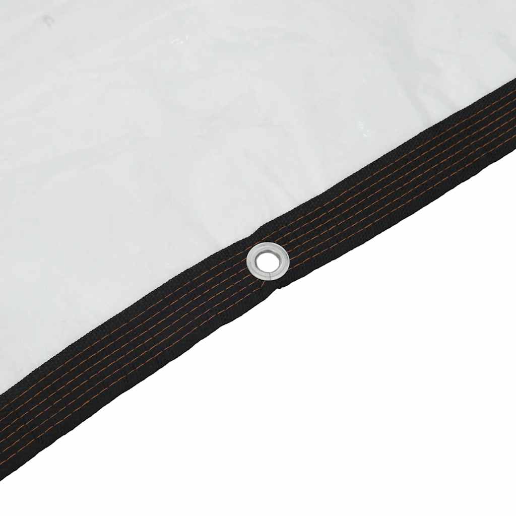 Klare Plane mit Ösen 3x4 m Polyethylen