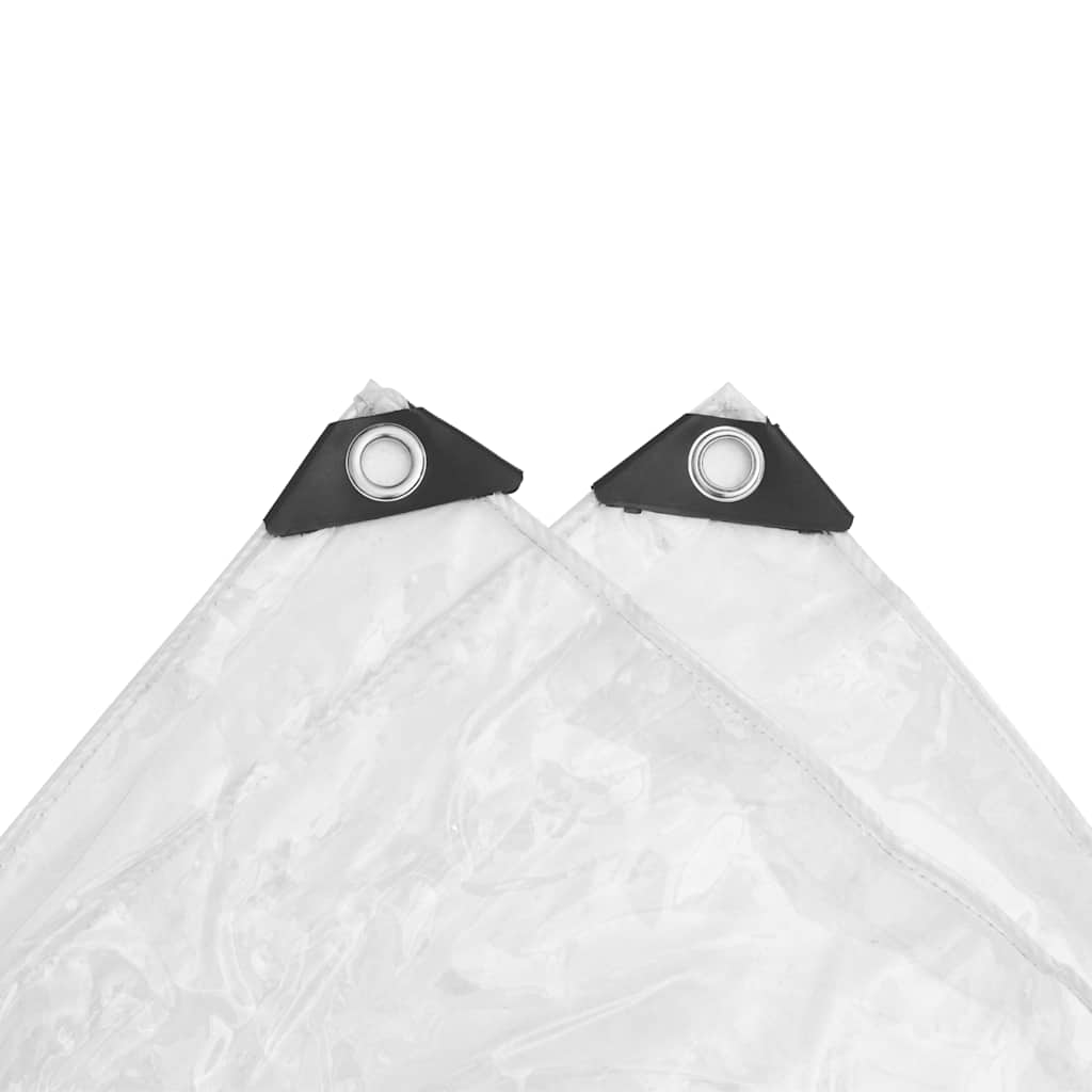 Transparente Plane mit Ösen 6x10 m PVC