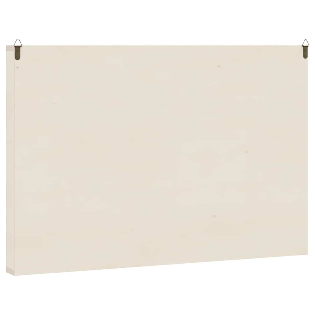 Sammlervitrine aus Holz mit 60 Fächern 60 x 4,5 x 40,5 cm