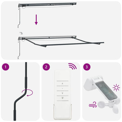 vidaXL Auvent automatique à LED anthracite et blanc 300x250 cm