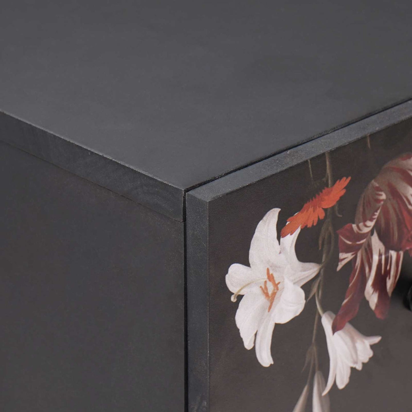 vidaXL Stauraumschränke Mehrfarbig 60 x 33,5 x 75 cm Massivholz Mango