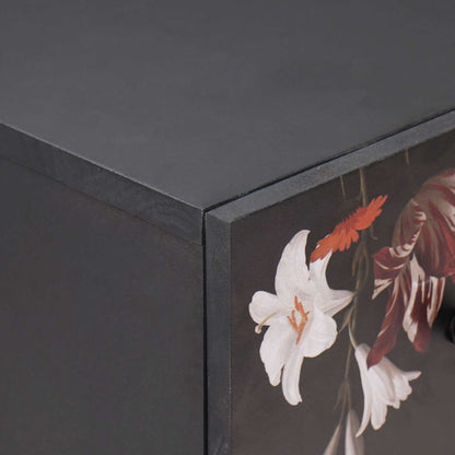vidaXL Stauraumschränke Mehrfarbig 60 x 33,5 x 75 cm Massivholz Mango