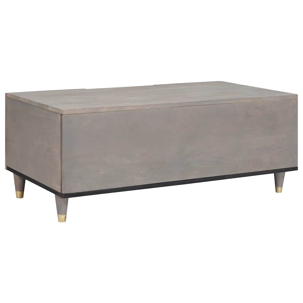 vidaXL Couchtisch Grau 100 x 54 x 40 cm Massivholz Mango