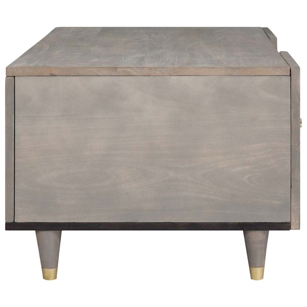 vidaXL Couchtisch Grau 100 x 54 x 40 cm Massivholz Mango