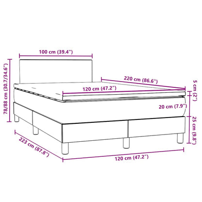 vidaXL Boxspringbett mit Matratze Hellgrau 120x220 cm Samt