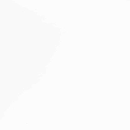 vidaXL Chaises de salle à manger 2 pcs Blanc Bois massif d'hévéa