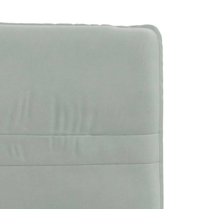 vidaXL Chaises de salle à manger 2 pcs Velours gris clair