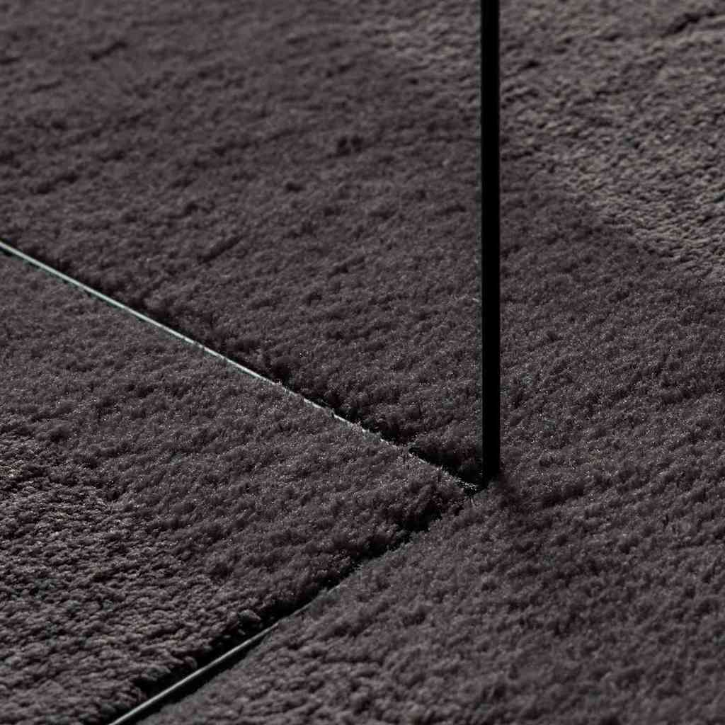 Bereichsteppiche HUARTE Anthrazit 120 x 170 cm 100 %Polyester