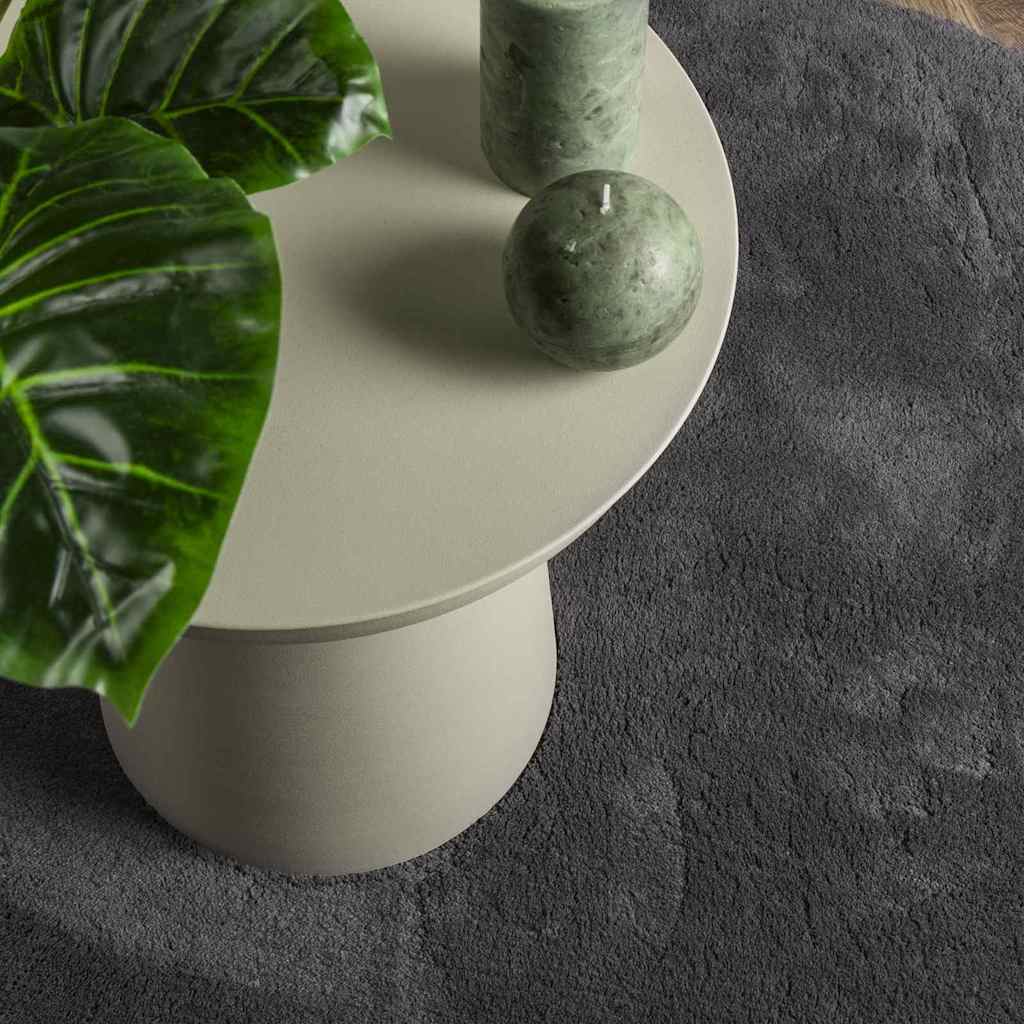 Bereichsteppiche HUARTE Anthrazit 160 x 230 cm Polyester